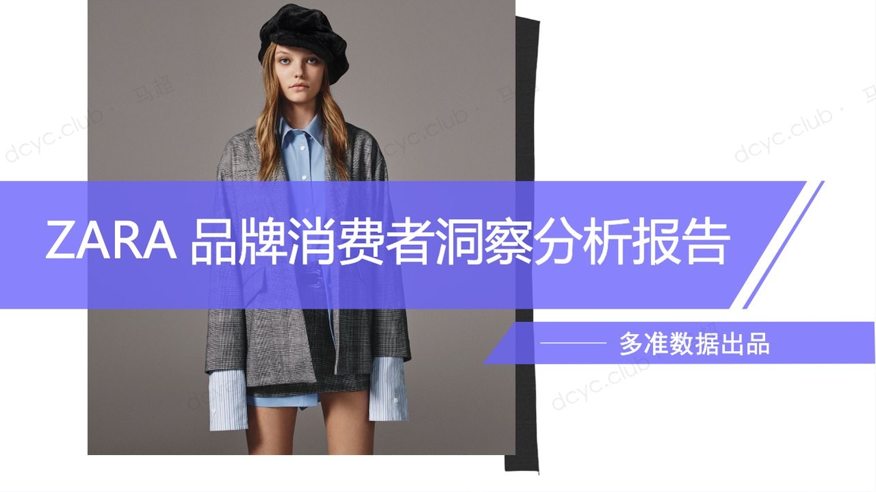 ZARA 品牌消费者洞察分析报告